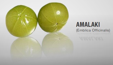 zrii, free zrii, zrii nutriotion facts, zrii business, zrii IE, amalaki, buy zrii. zri, health, zrii healthm, zrii wealth, wealth, get rich, free zrii, buy zrii, amalki, zri, rejuvenator, sexual stimulant, reverse lookup, phone number lookup, business opportunityy, free pay per click ad, diet, fat loss