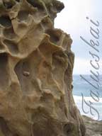 real estate, real estate broker, CAR, MCAR, monterey bay real estate, photography, web design, art, buy a home, sell a home