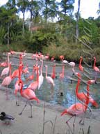 real estate, real estate broker, CAR, MCAR, monterey bay real estate, photography, web design, art, buy a home, sell a home