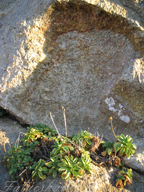 real estate, real estate broker, CAR, MCAR, monterey bay real estate, photography, web design, art, buy a home, sell a home