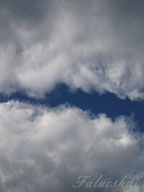 real estate, real estate broker, CAR, MCAR, monterey bay real estate, photography, web design, art, buy a home, sell a home