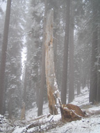 real estate, real estate broker, CAR, MCAR, monterey bay real estate, photography, web design, art, buy a home, sell a home