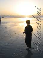 real estate, real estate broker, CAR, MCAR, monterey bay real estate, photography, web design, art, buy a home, sell a home