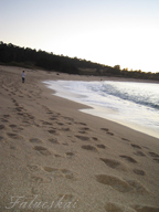 real estate, real estate broker, CAR, MCAR, monterey bay real estate, photography, web design, art, buy a home, sell a home