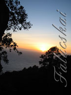 real estate, real estate broker, CAR, MCAR, monterey bay real estate, photography, web design, art, buy a home, sell a home