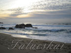 real estate, real estate broker, CAR, MCAR, monterey bay real estate, photography, web design, art, buy a home, sell a home
