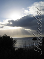 real estate, real estate broker, CAR, MCAR, monterey bay real estate, photography, web design, art, buy a home, sell a home