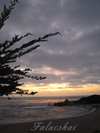 real estate, real estate broker, CAR, MCAR, monterey bay real estate, photography, web design, art, buy a home, sell a home