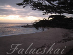 real estate, real estate broker, CAR, MCAR, monterey bay real estate, photography, web design, art, buy a home, sell a home