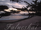 real estate, real estate broker, CAR, MCAR, monterey bay real estate, photography, web design, art, buy a home, sell a home