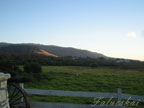 real estate, real estate broker, CAR, MCAR, monterey bay real estate, photography, web design, art, buy a home, sell a home