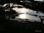 real estate, real estate broker, CAR, MCAR, monterey bay real estate, photography, web design, art, buy a home, sell a home