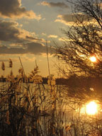 real estate, real estate broker, CAR, MCAR, monterey bay real estate, photography, web design, art, buy a home, sell a home